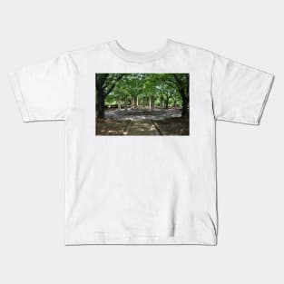 Himeji Castle Park Stone Octagon, Japan Kids T-Shirt